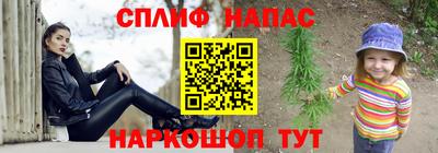 амф Кингисепп