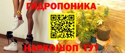 амф Кингисепп