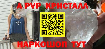 амф Кингисепп