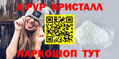 амф Кингисепп
