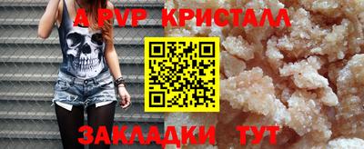 амф Кингисепп