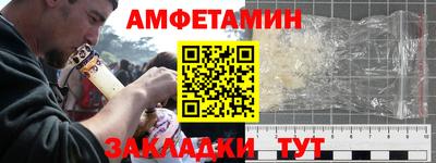 амф Кингисепп