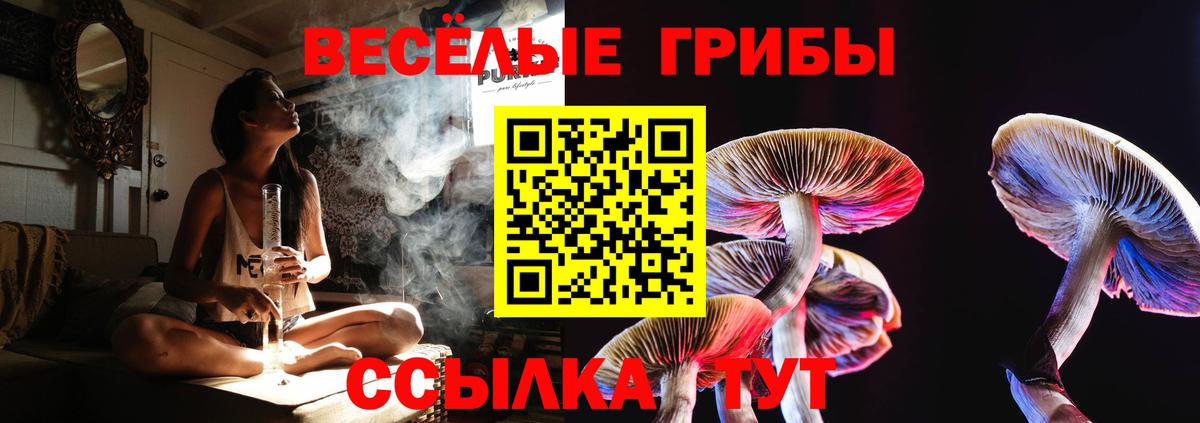 Псилоцибиновые грибы Psilocybine cubensis Королёв